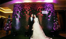 婚礼视频,婚礼视频精彩回顾